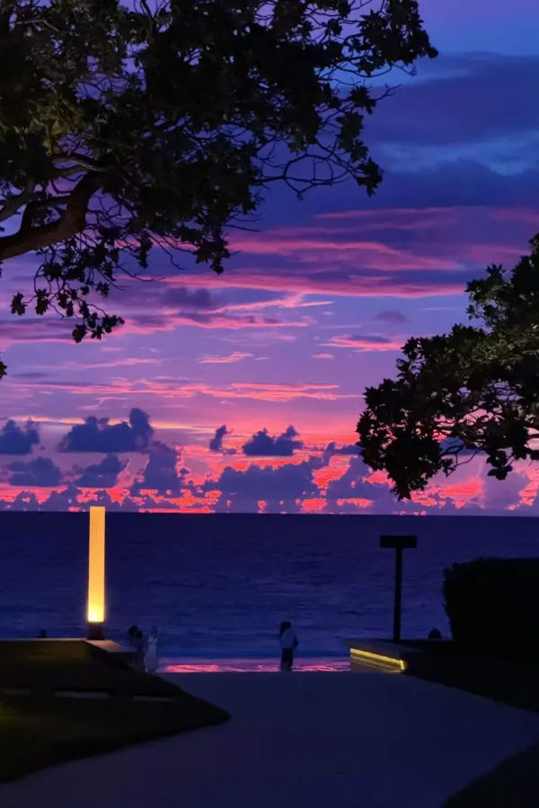 Purple dusk over the sea, framed by dark trees.