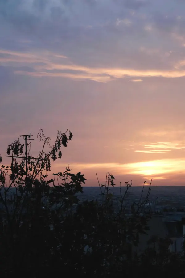 The sun going down over the sea, dark branches in front.