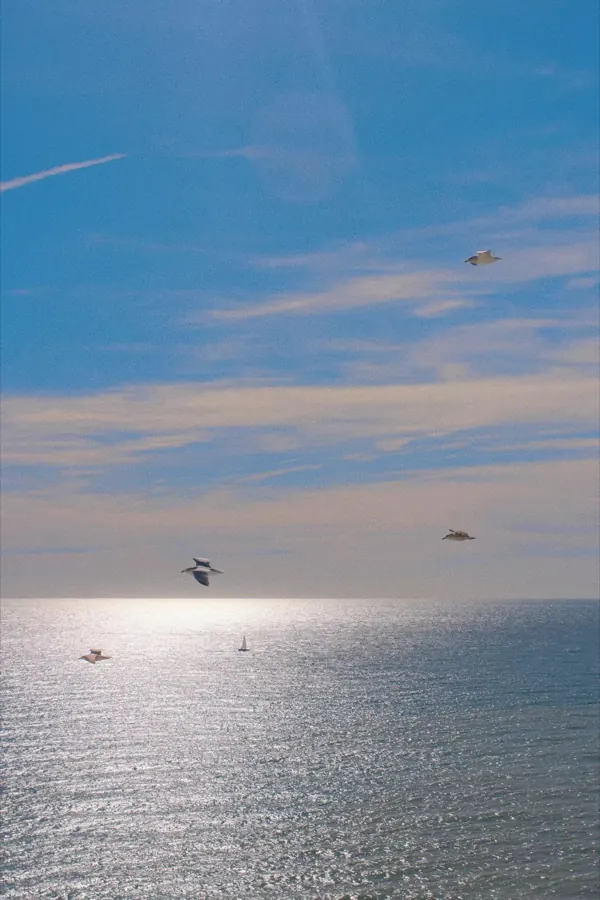Sun glinting on the sea, gulls overhead.