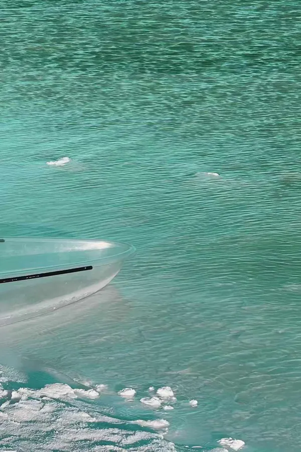 Green water with floating ice.