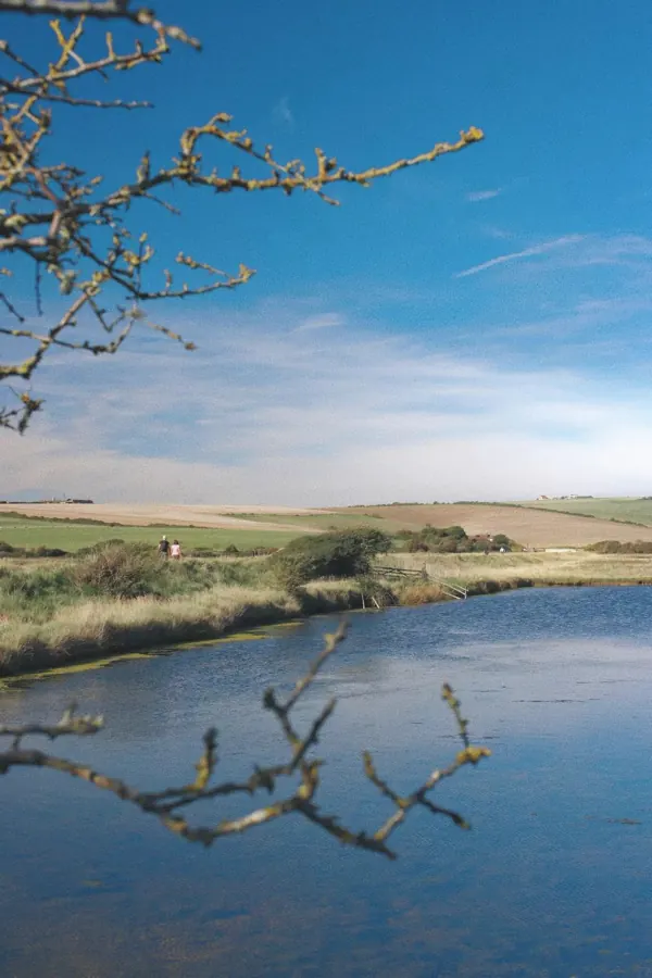 A lake and fields framed by a bare branch.