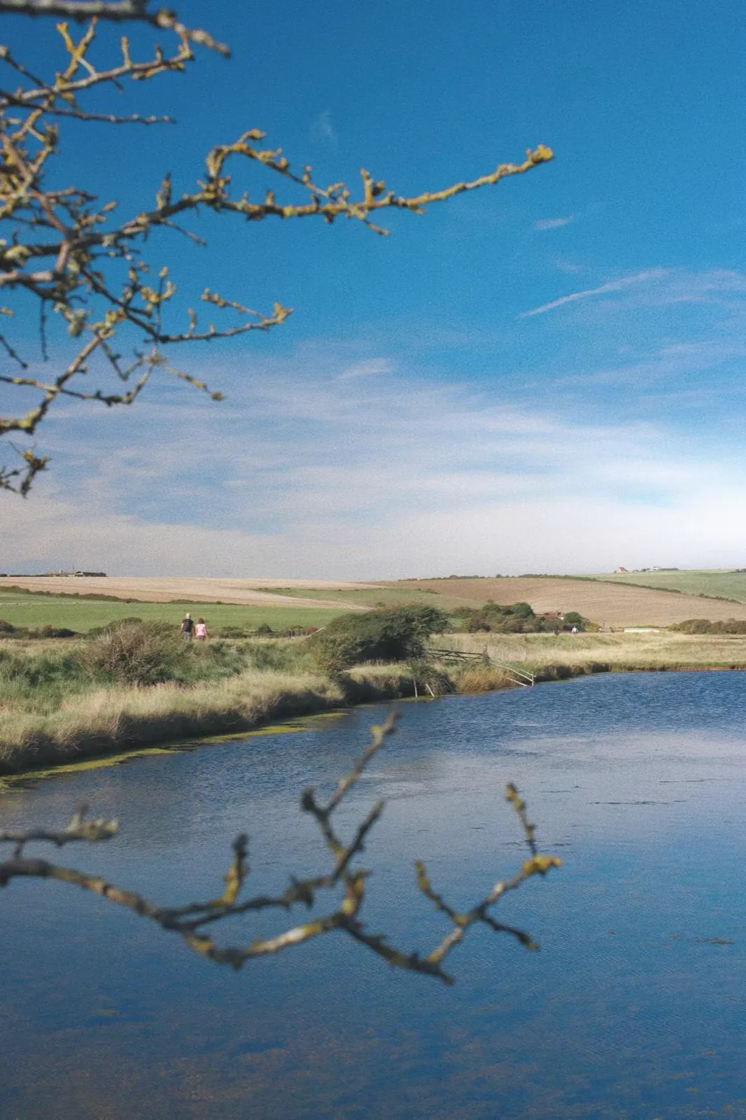 A lake and fields framed by a bare branch.