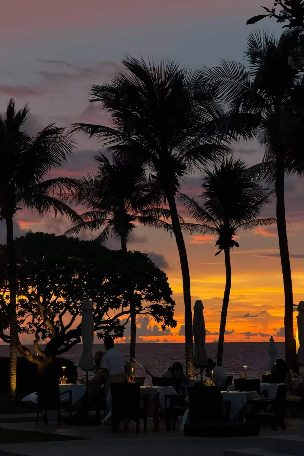 Palm trees against an orange sunset, people at dinner below.