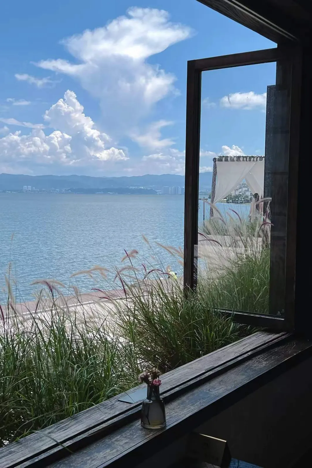 The sea through an open window, grass on the sill.