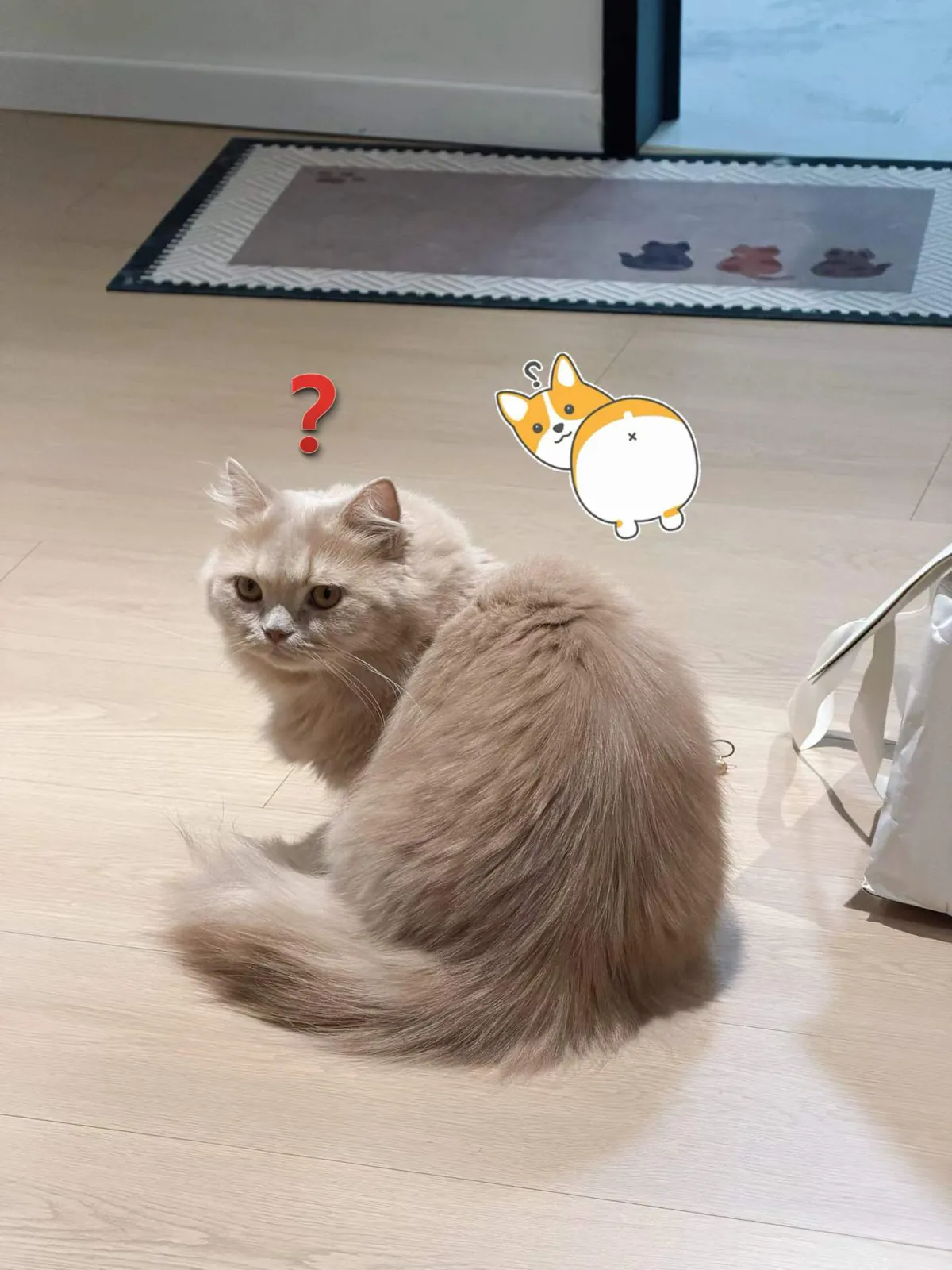 Migao looking back, with a question mark and a corgi sticker.
