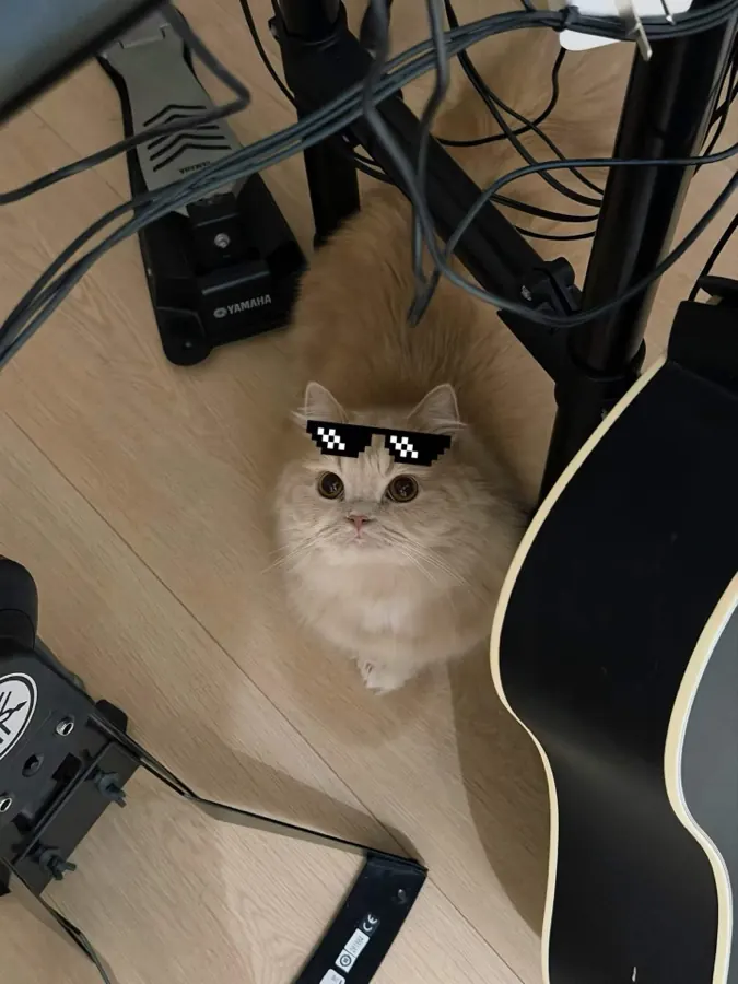 Migao between a drum pedal and a guitar, wearing pixel sunglasses.