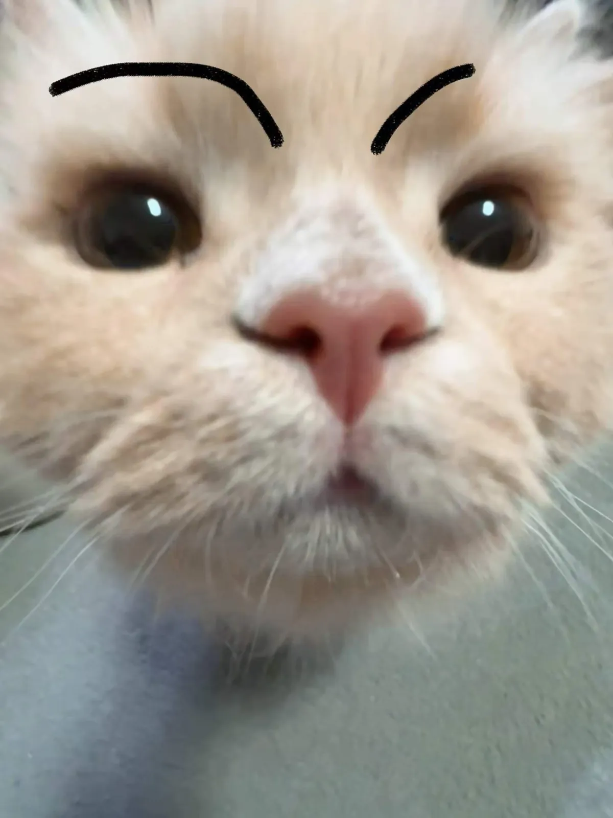 A close-up of Migao with drawn-on eyebrows.