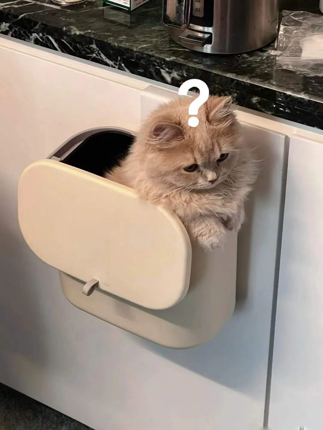 Migao in a box, with a question mark.