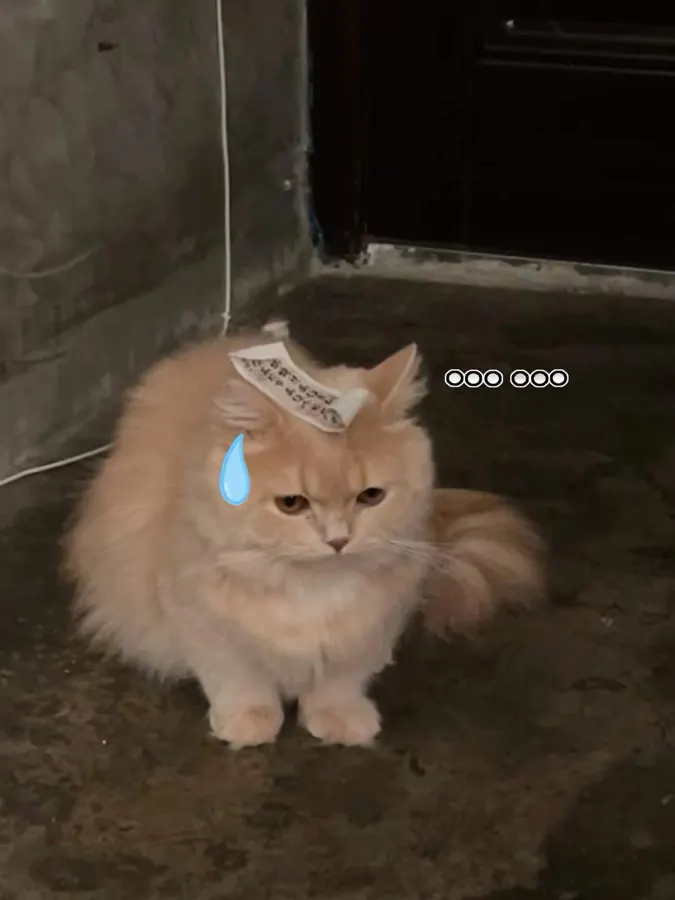 Migao with a note on the head and a sweat drop.