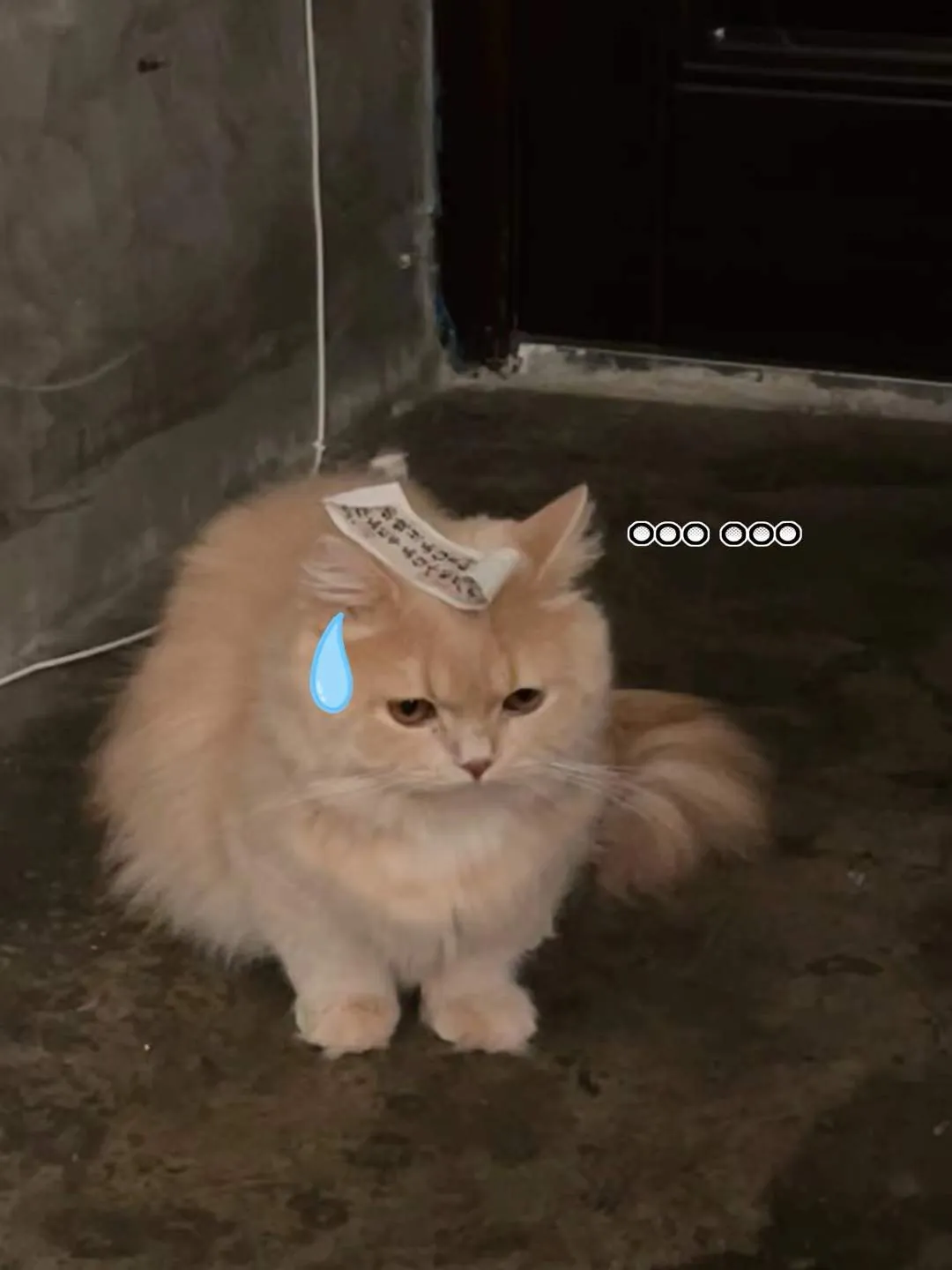 Migao with a note on the head and a sweat drop.