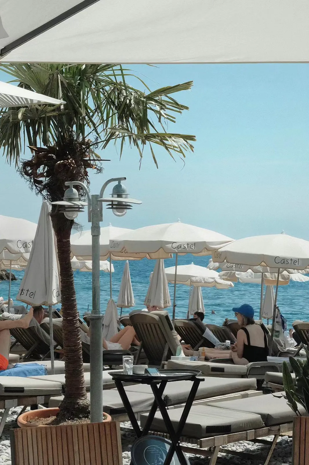 A beach club of palms and white umbrellas.