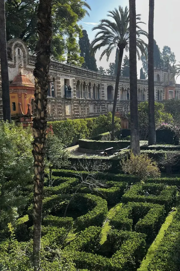 A hedge maze beneath palms and a palace.