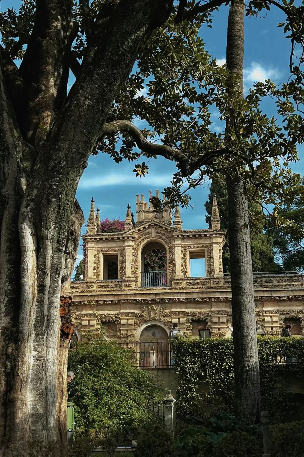 A palace front seen between old trees.