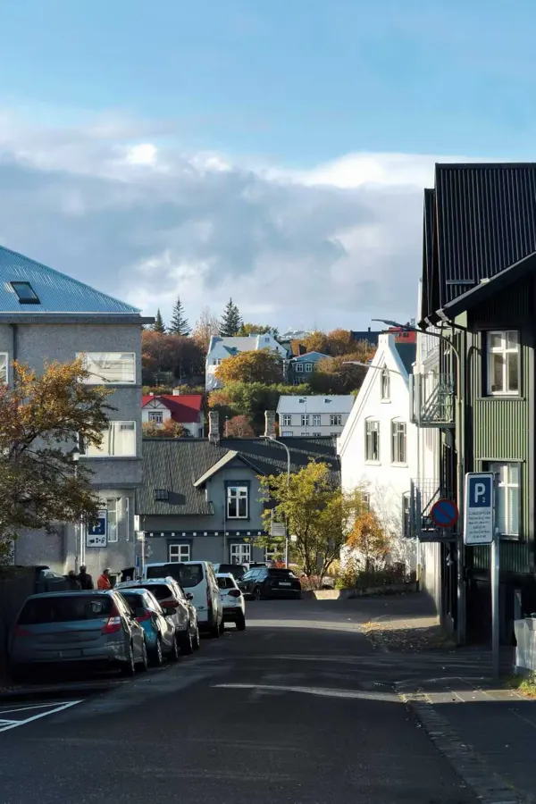 A quiet street of painted houses and autumn trees.