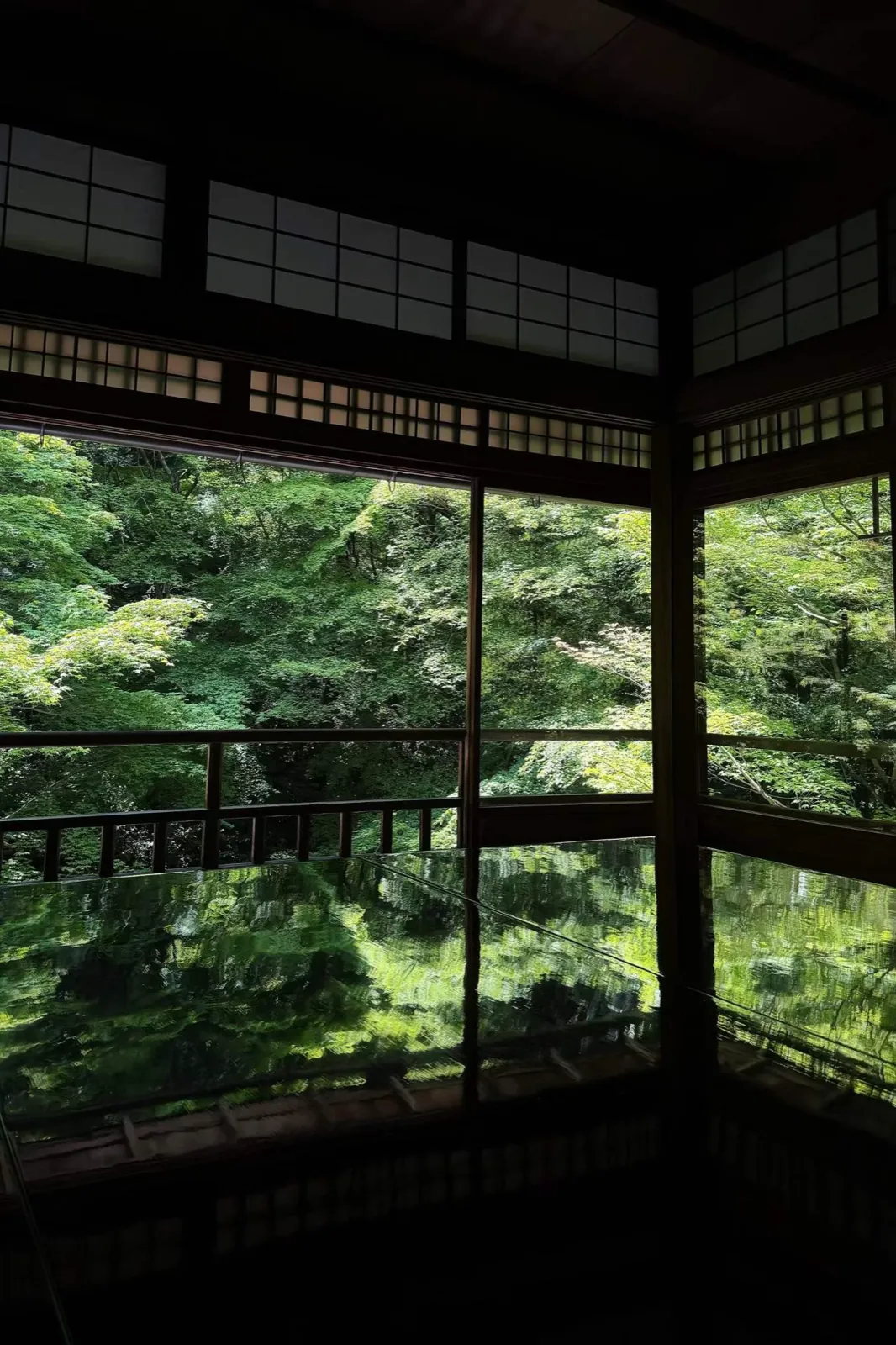 A dark temple room framing a garden of green maples, reflected in the floor.
