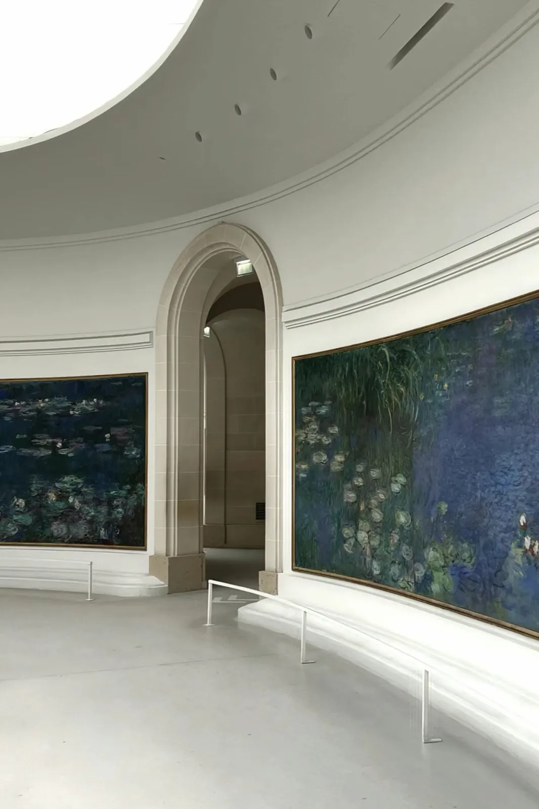 A curved room of water lily paintings.