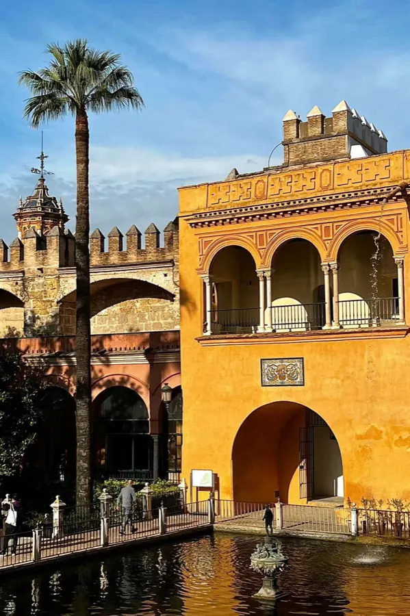 A yellow palace wall, a palm and a pool.