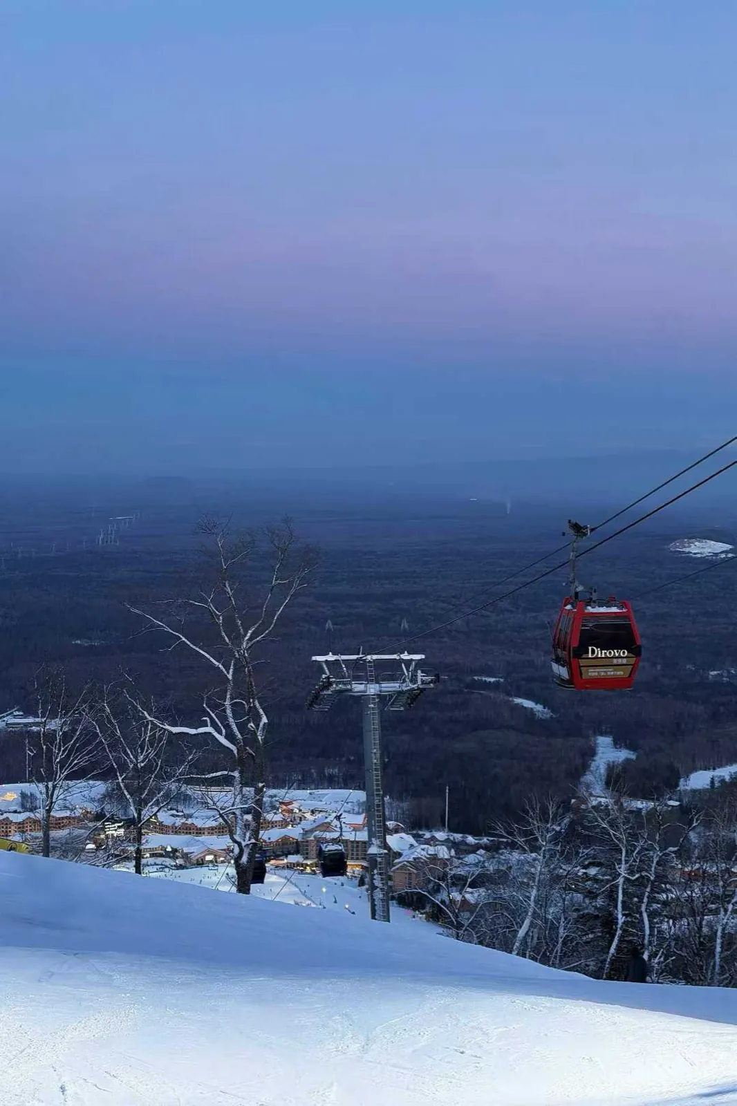 A red gondola over a snowy forest at dusk.