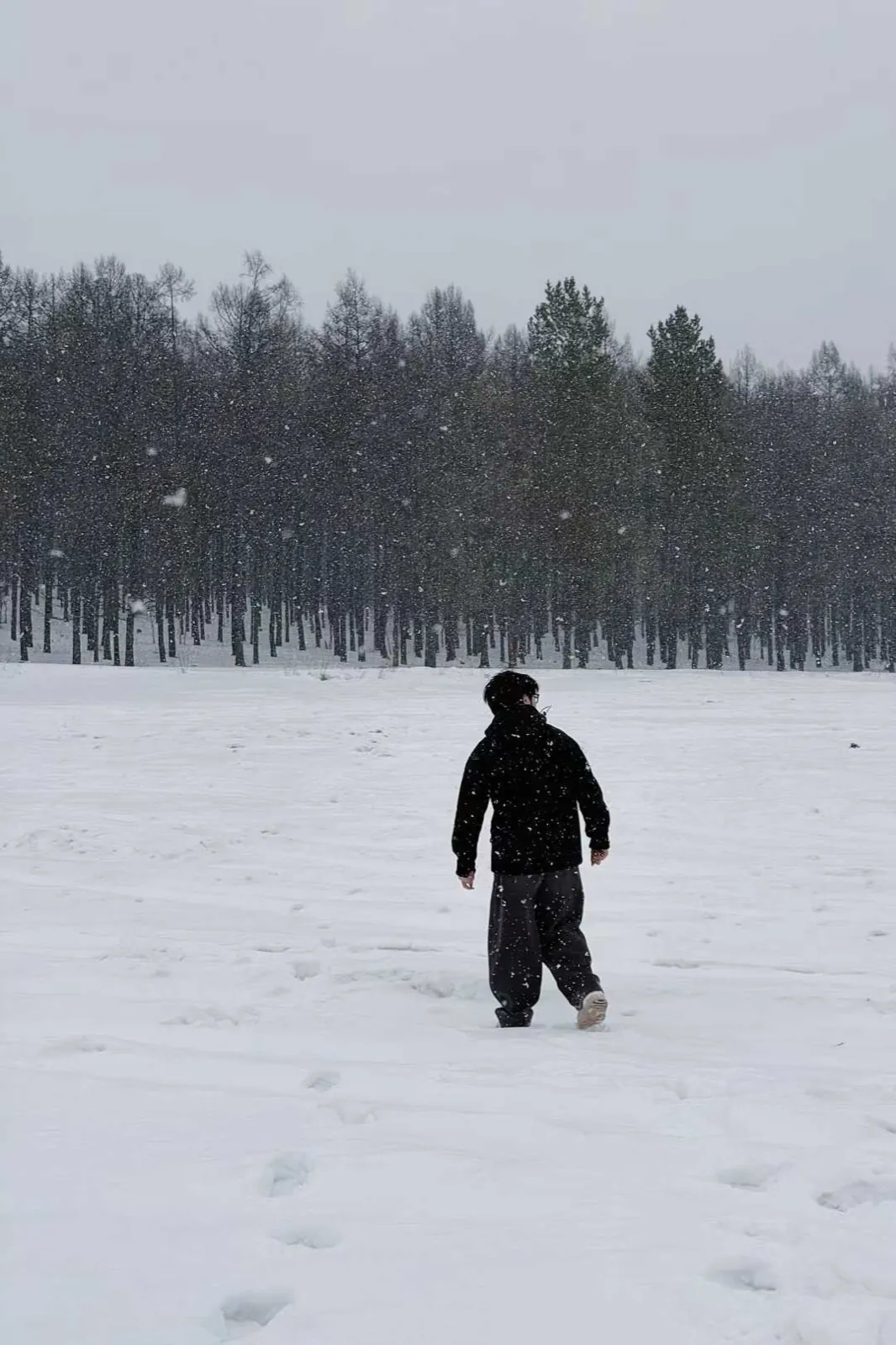 Walking across a snowfield towards the trees while it snows.